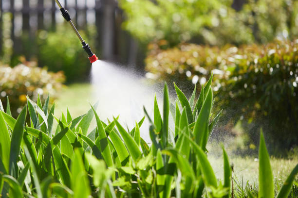 Tamper-Resistant Bait Stations for Rodents in Northport