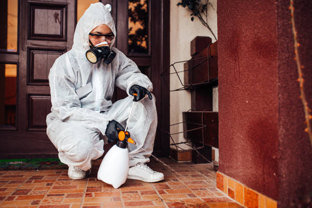 Attic and Crawl Space Rodent Treatment in Northport
