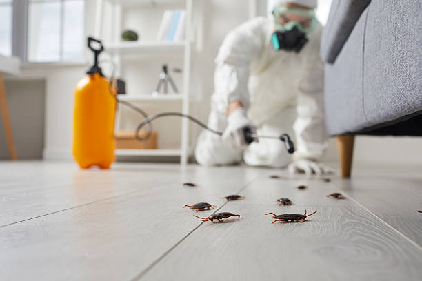 Commercial Rodent Management in Northport